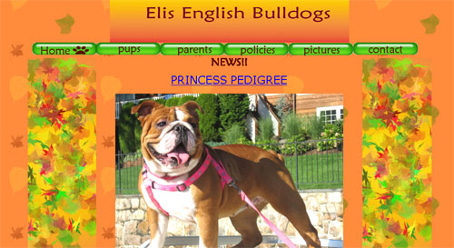 Elis English Bulldogs website